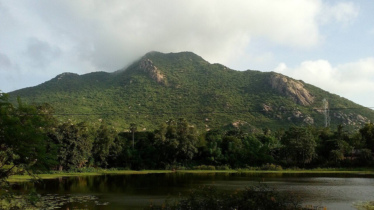 3 Days Similipal Wildlife Safari from Baleshwar | Premium 2N Package