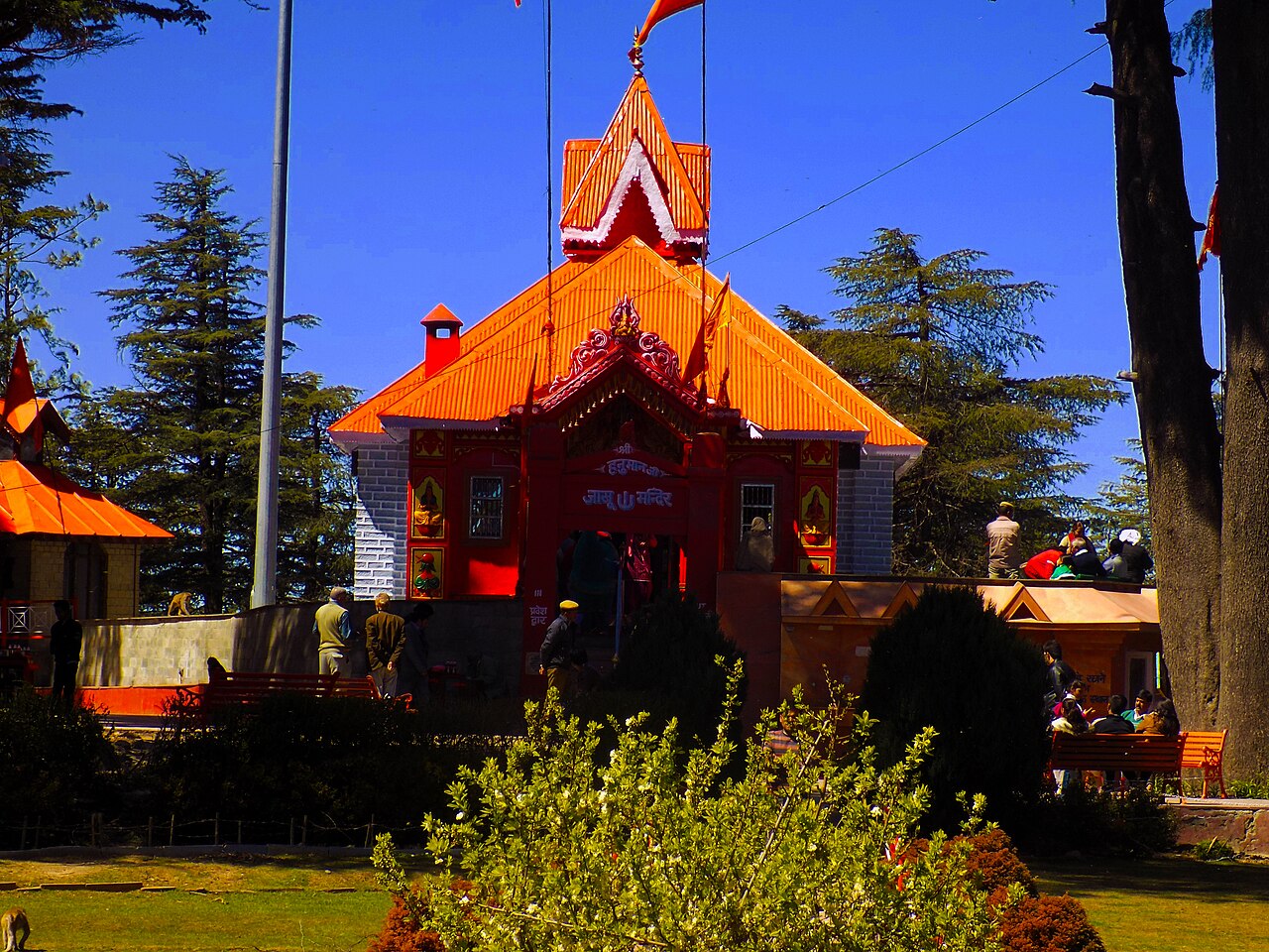 2D/1N Family & Kids Premium Tour Package in Shimla | TakeOurTrip.com