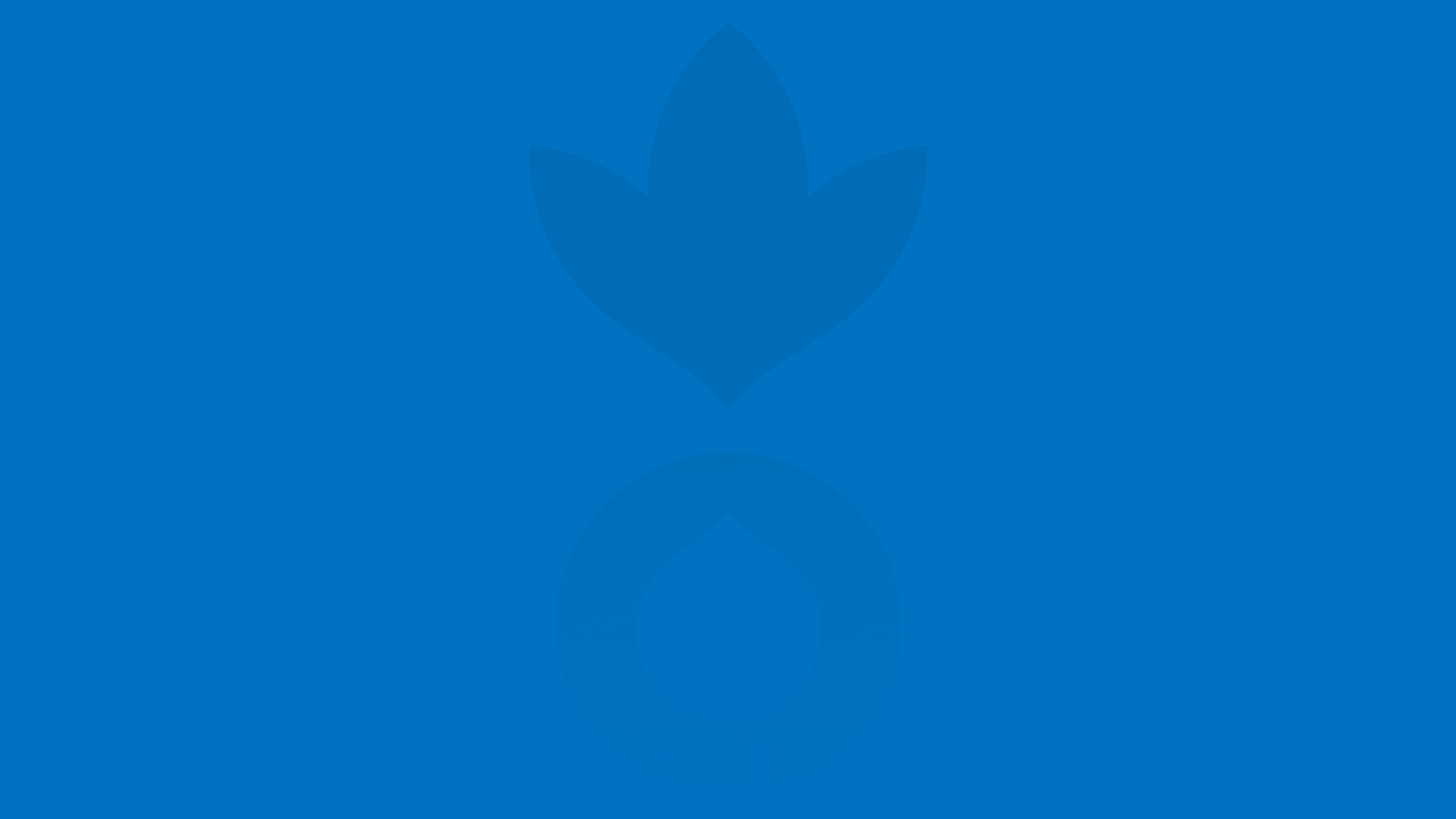 Captura de pantalla 2025-08-11 152832-min