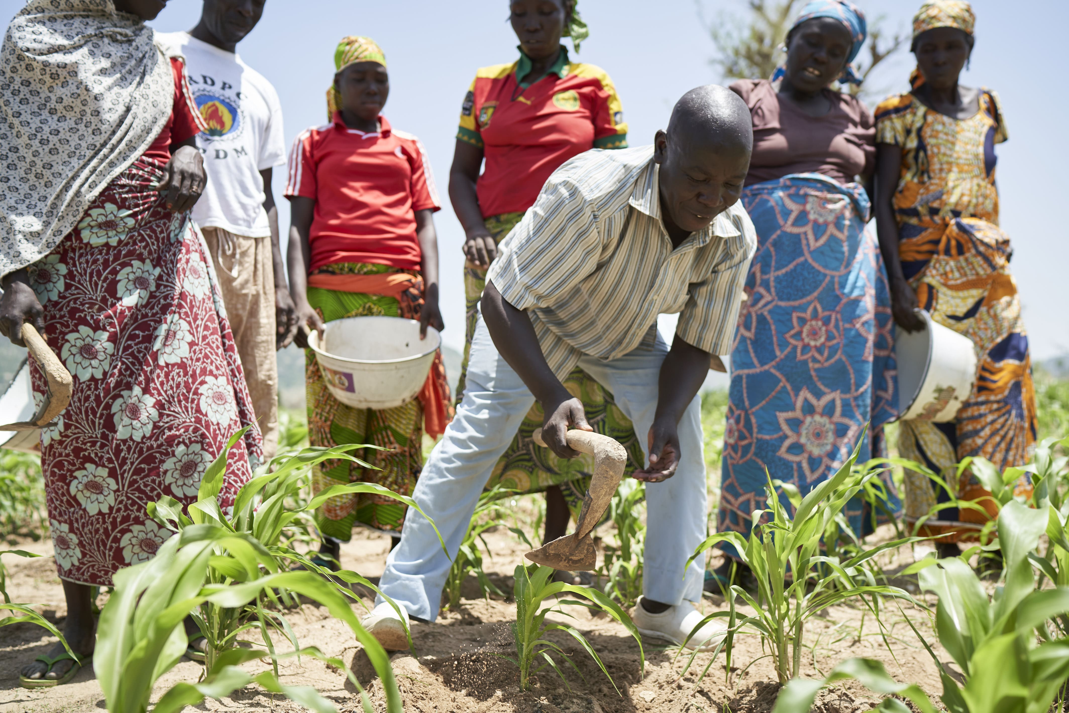 Cameroun agroecologie action contre la faim