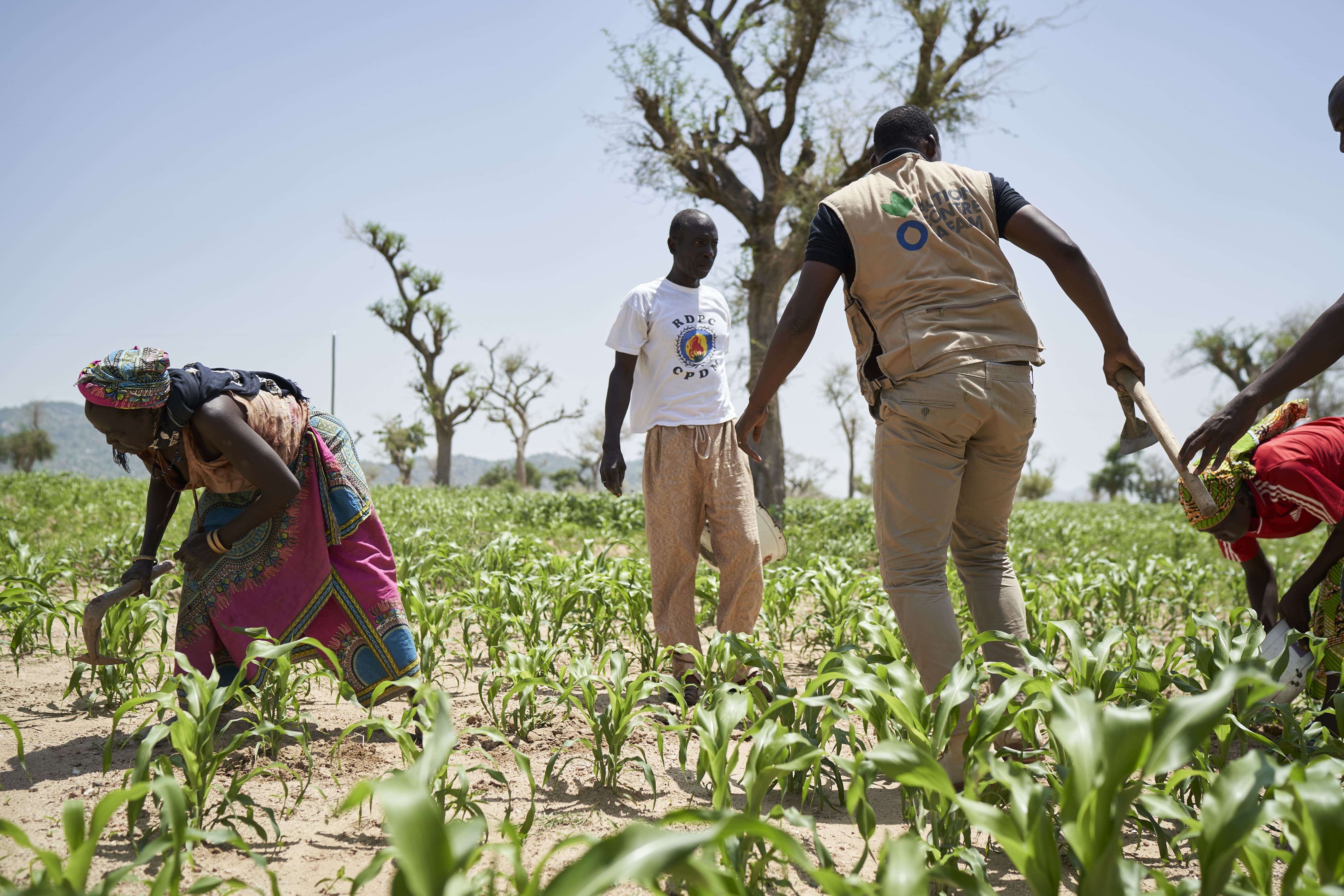 Cameroun agroecologie action contre la faim