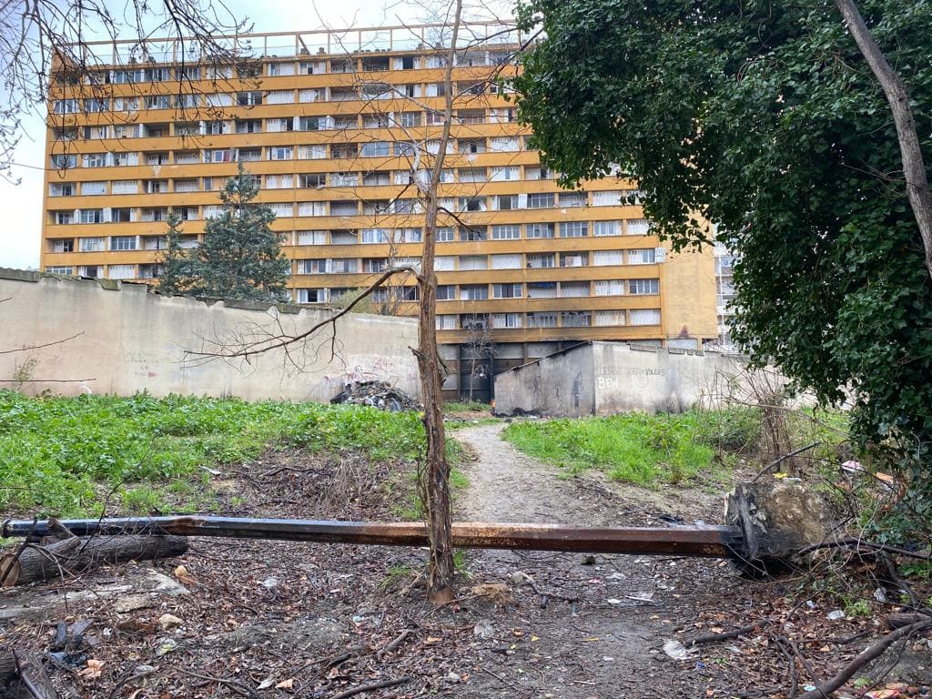 rapport squat Marseille