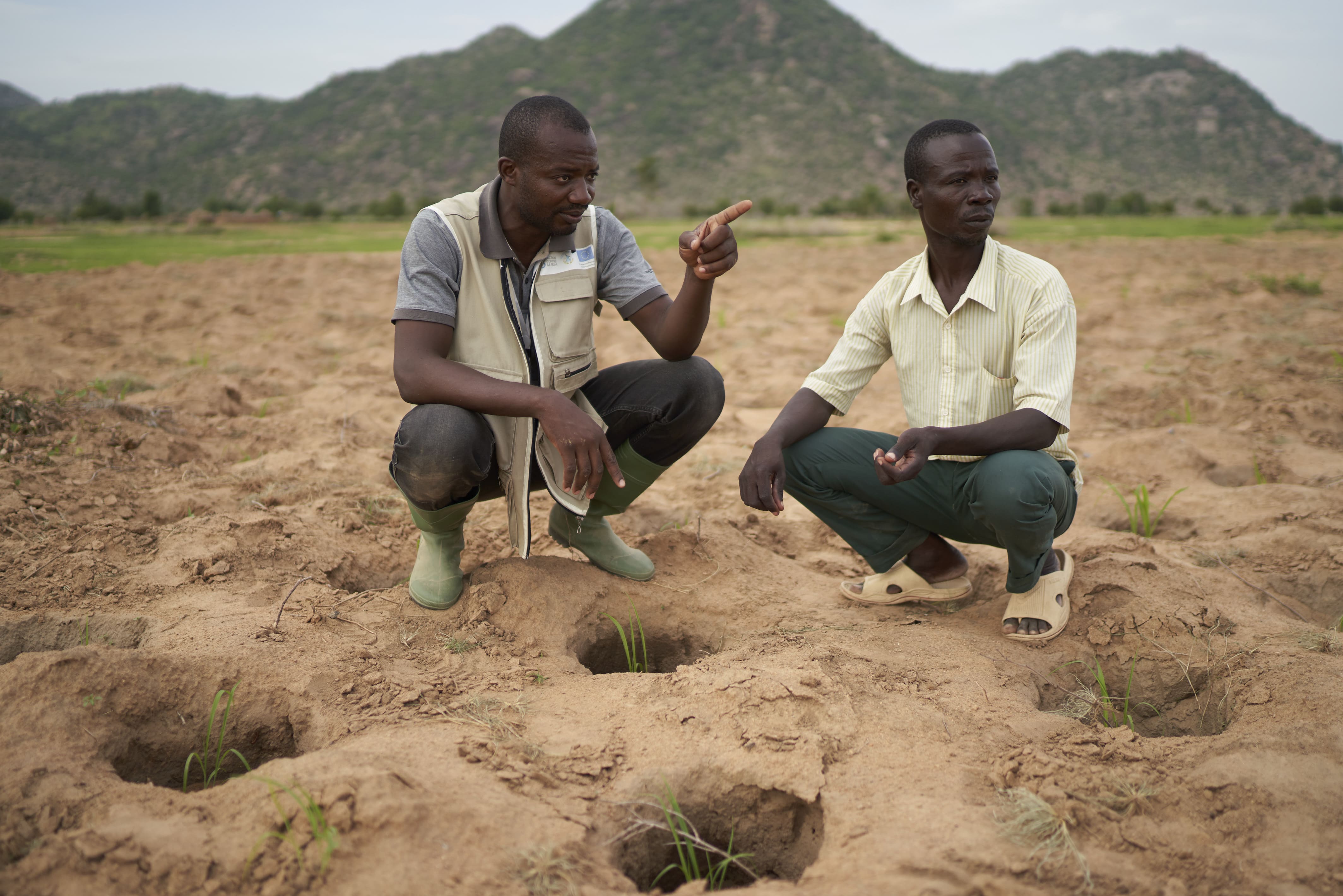 Cameroun agroecologie action contre la faim