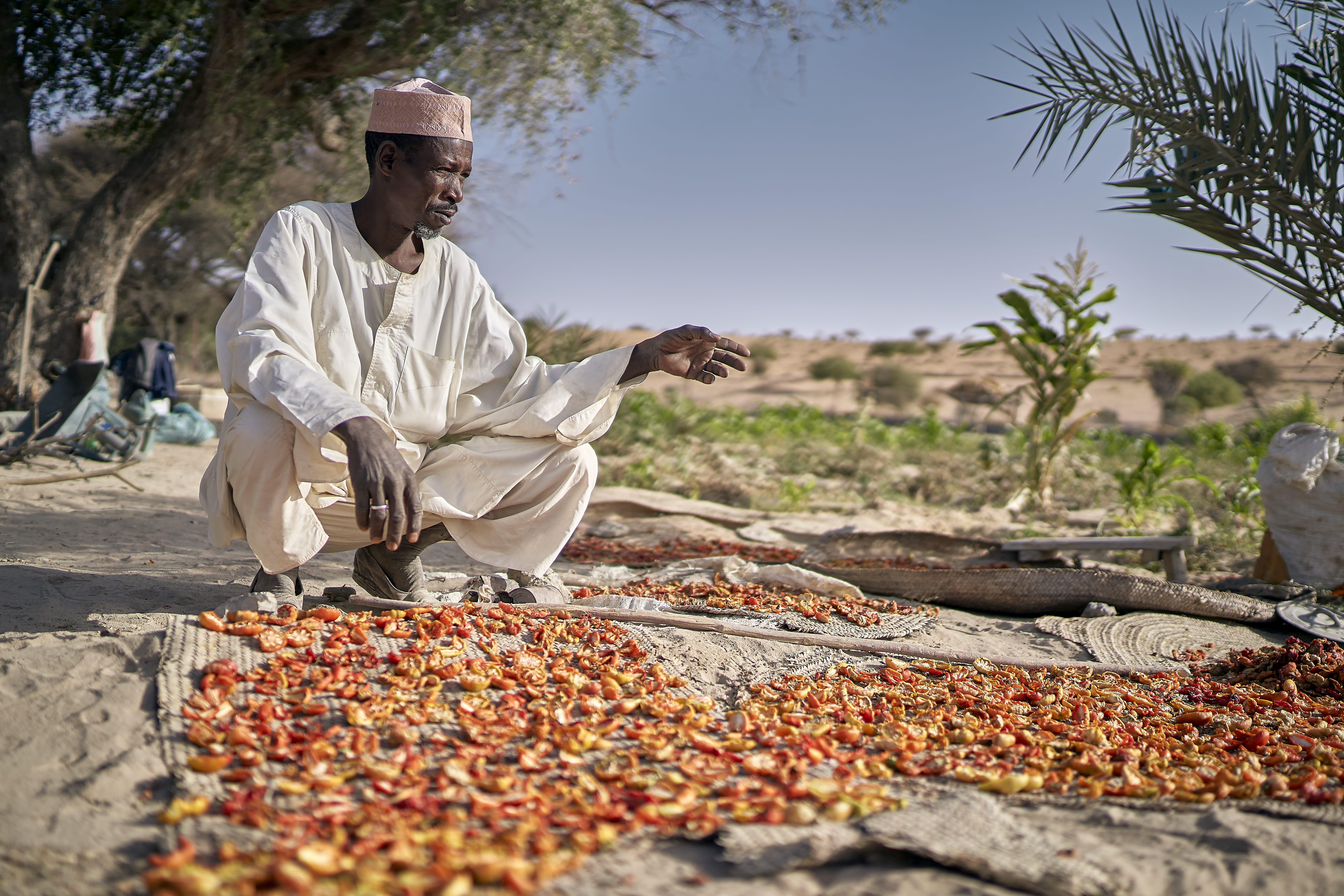 Tchad 2019 séchage en plein air