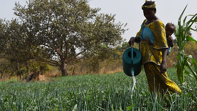 agroecologie-agriculture-burkina-faso-acf-1.jpg