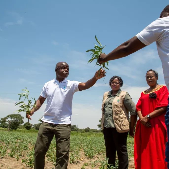 Zambie CEO agriculture nutrition