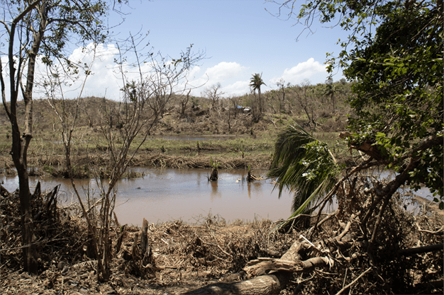 Madagascar cyclone Gezani