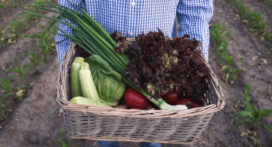 MIF marché Marseille
