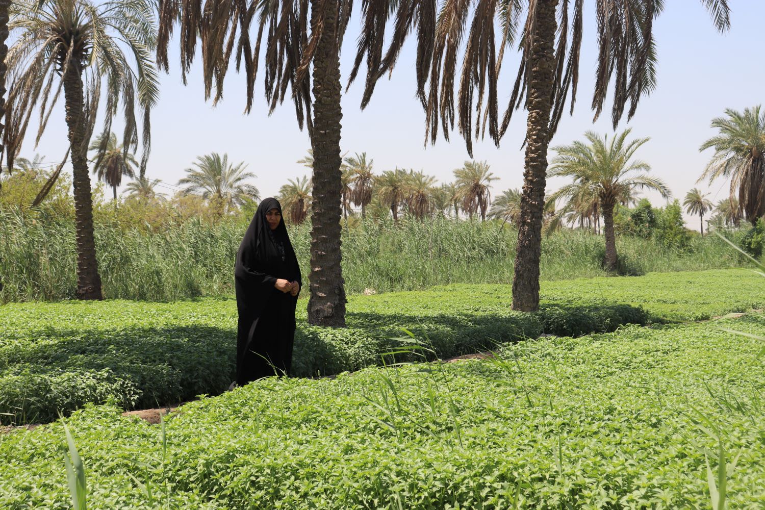 Basra femmes entrepreneures Sumaya Abdali Taher