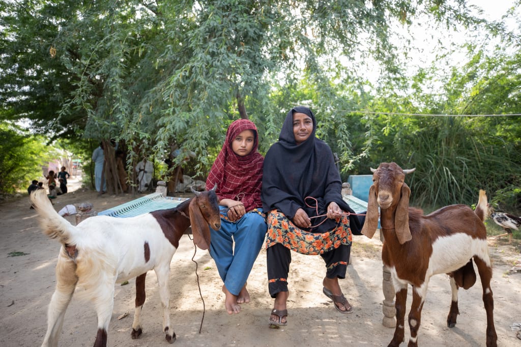 One Year After Floods: Pakistan's Road to Food Insecurity