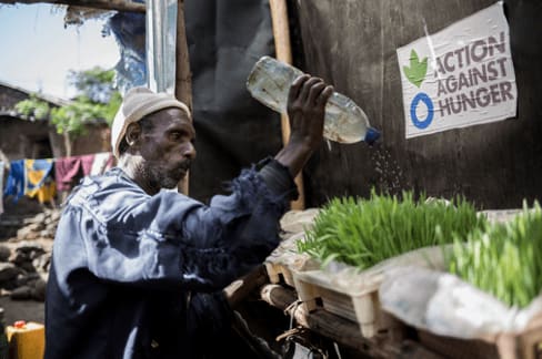 Hydroponie Ethiopie secheresse