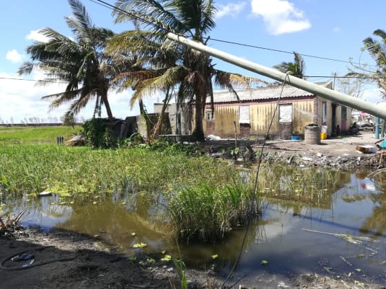 @ Action contre la Faim