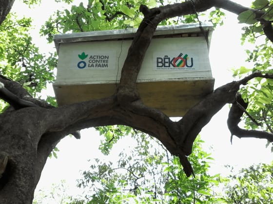 République Centrafricaine apiculture