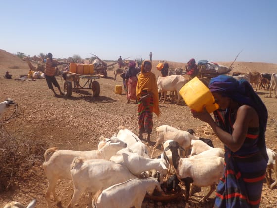 Somalie, le choléra menace