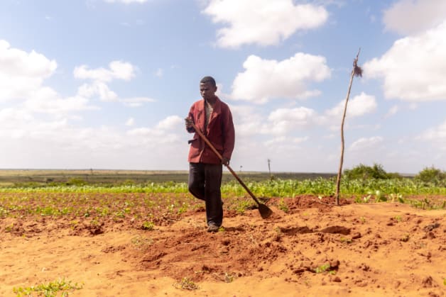 Madagascar secheresse