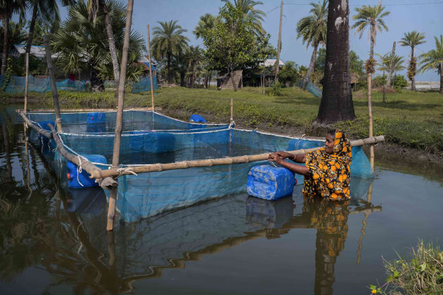 Bangladesh Satkhira 2024