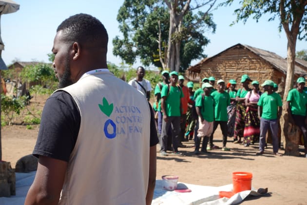 mozambique 2024 nutrition