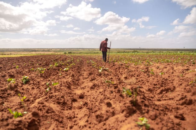 madagascar agriculture