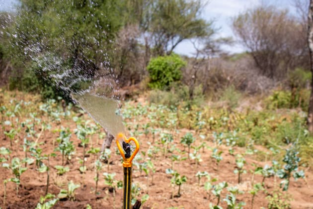 Kenya Solaire eau arrosage