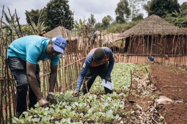 RDC agriculture