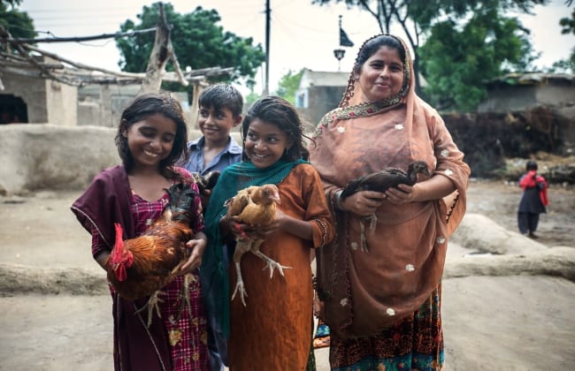 Pakistan chicken 2020