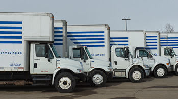 Edmonton business storage