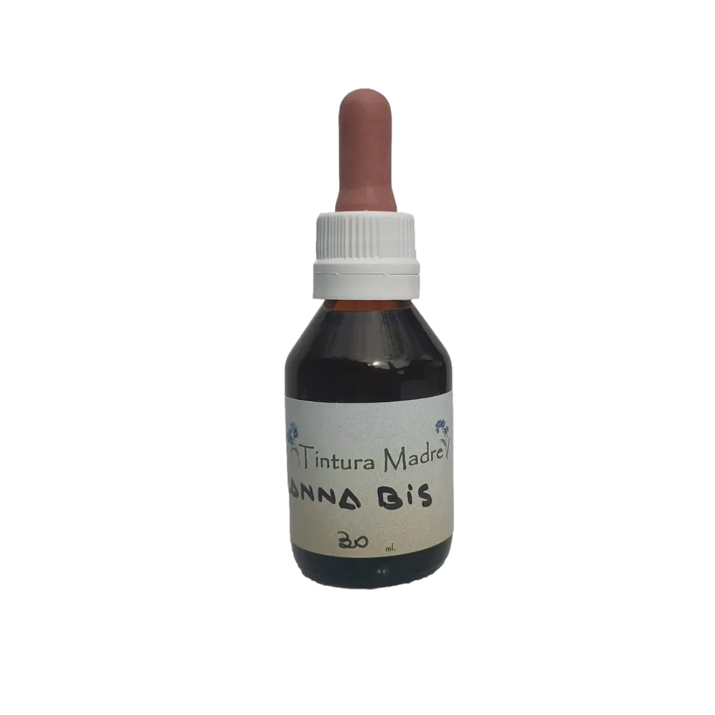 Tintura madre cannabis