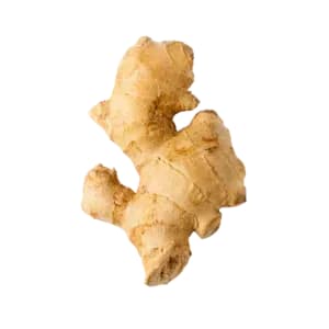 Jengibre