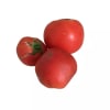 Tomate agroecológico
