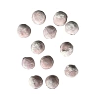 Sorrentinos de jamón y muzza