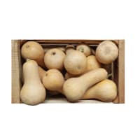 Bolsa de Zapallo anco agroecológico