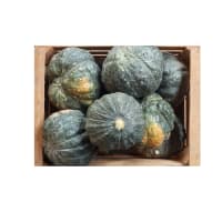 Bolsa de Zapallo kabutia agroecológico