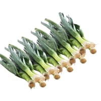 Atados de Puerro agroecológico