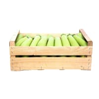Cajon de Zuccini agroecológico