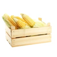 Cajon de Choclo agroecológico