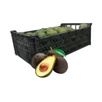 Cajón de Palta Hass agroecológica