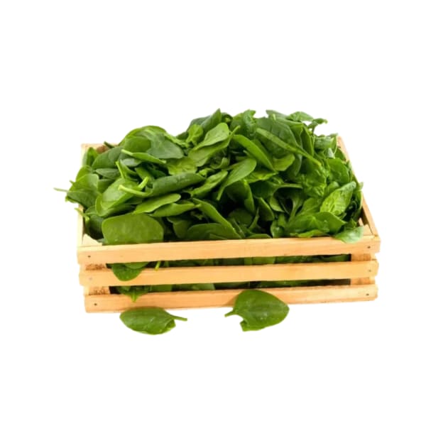 Cajon de Espinaca agroecológica