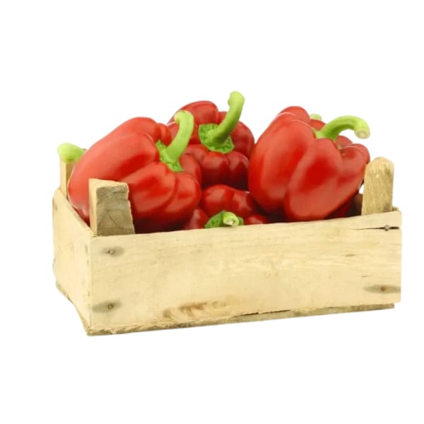 Cajon de Morrón Rojo agroecológico