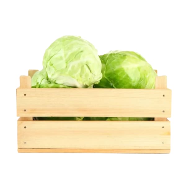 Cajon de Repollo blanco agroecológico