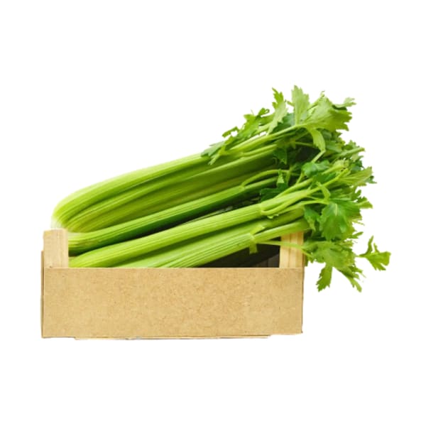 Cajon de Apio agroecológico