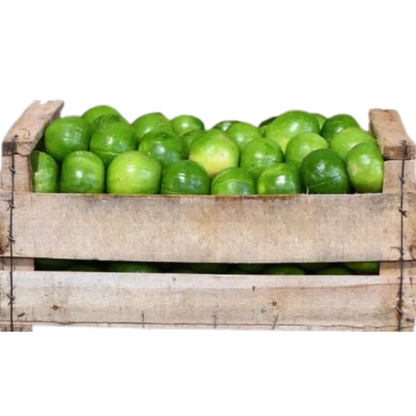 Cajon de Zapallito agroecológico