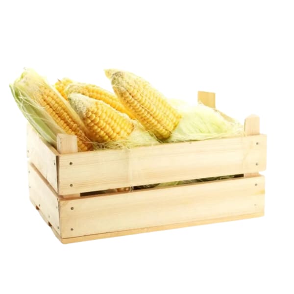 Cajon de Choclo agroecológico