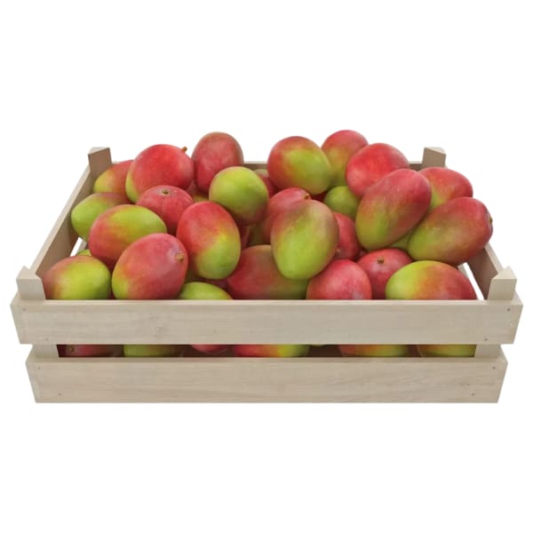 Cajon de Mango Agroecológico