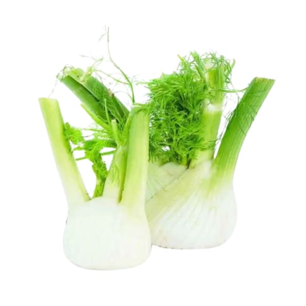 Hinojo agro sin hojas