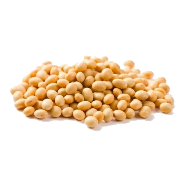 Poroto de soja