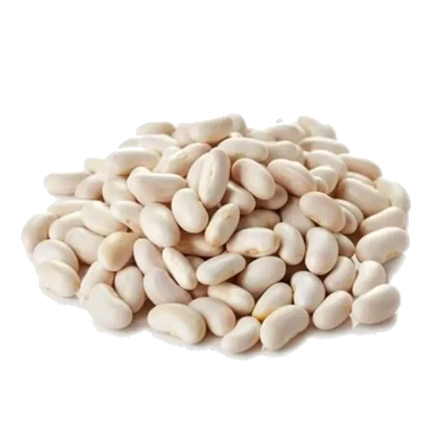 Poroto alubia