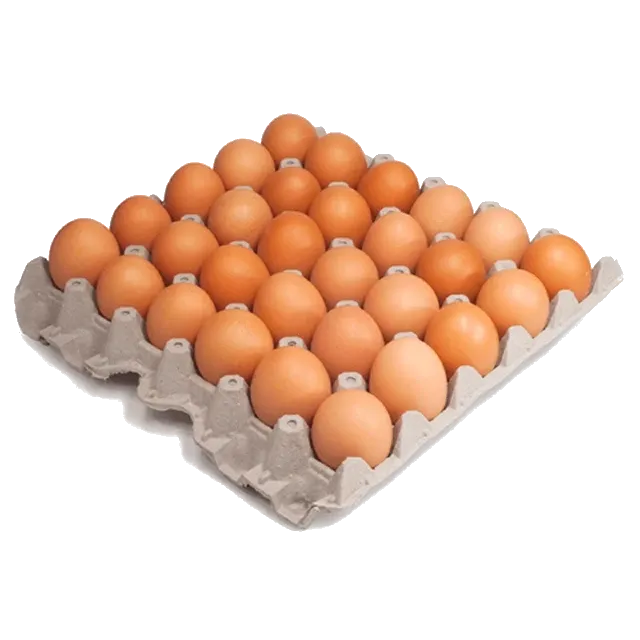 Maple huevos de campo