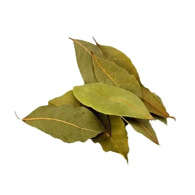 Laurel