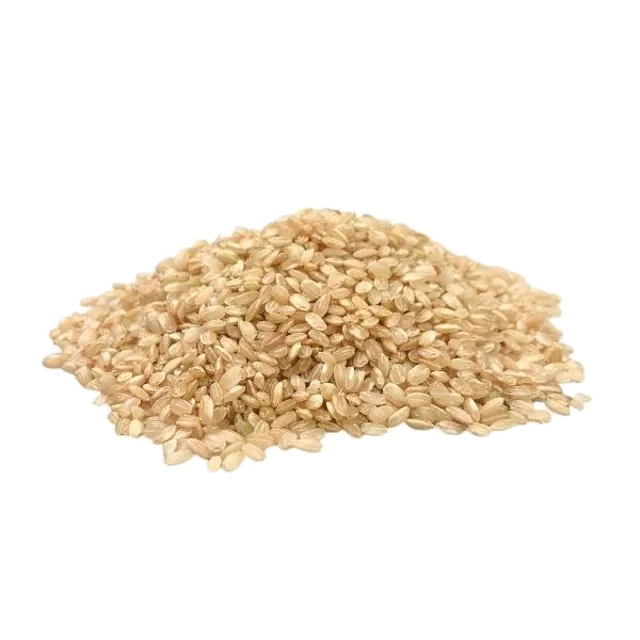 Arroz yamani integral