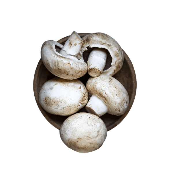 Champignones